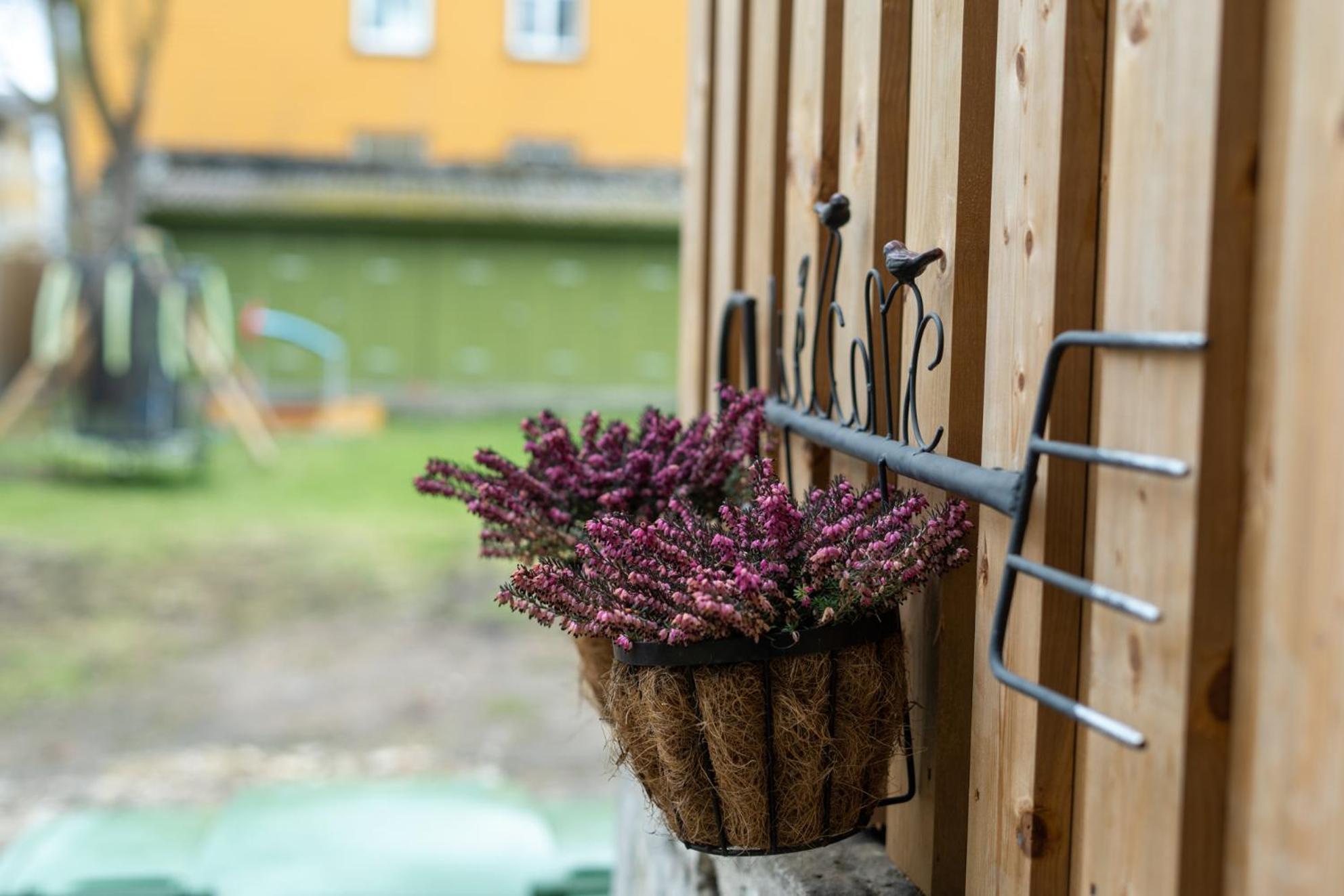 Garden Next To Telliskivi & Old Town